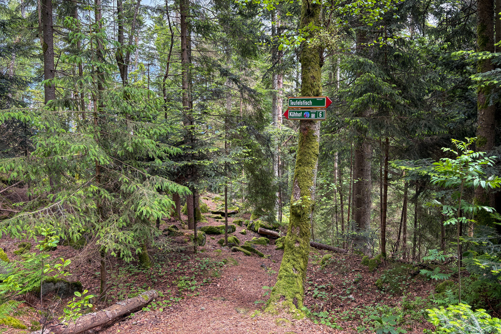 Wegweiser vom Teufelstisch nach Kühhof