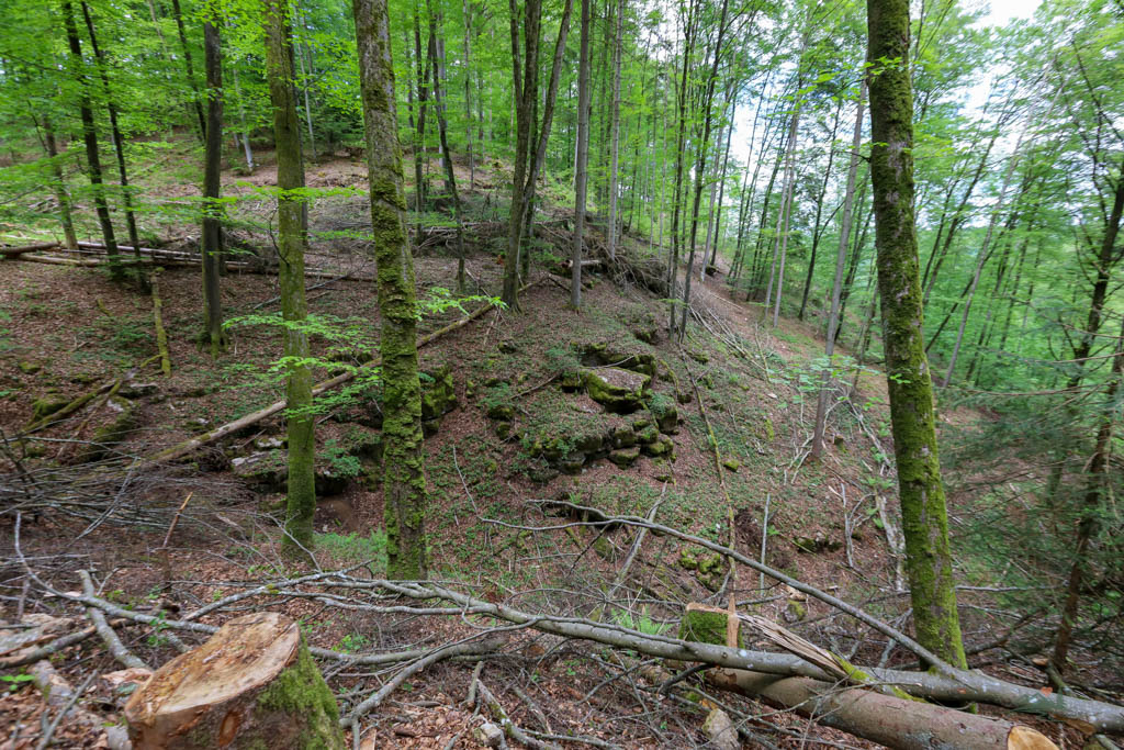 Überreste der Burgruine Mallburg
