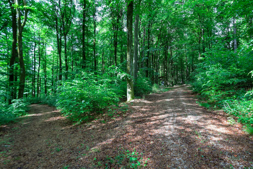 Weggabelung auf dem Burgenweg Anlautertal Richtung Schafhausen