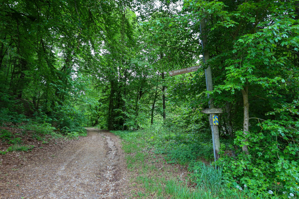 Wegweiser zur Rumburg in Enkering
