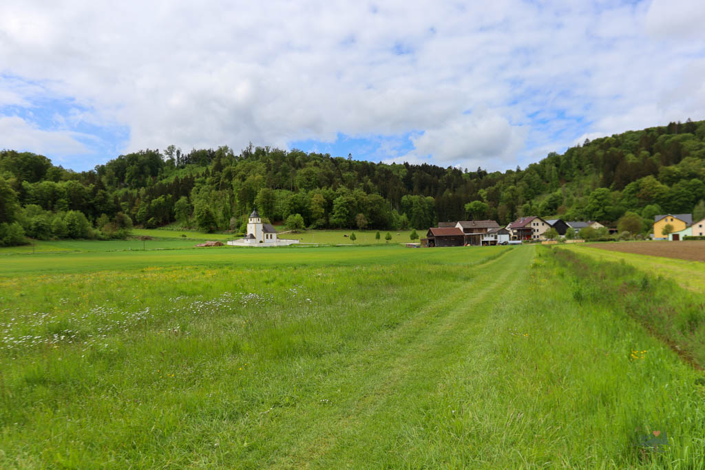 Wiesenweg Richtung Schafhausen auf dem Burgenweg im Anlautertal
