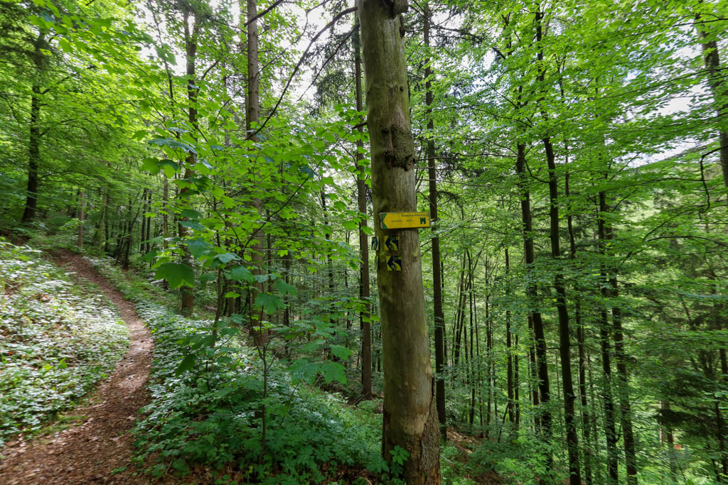 Beschilderung zur Burgruine Rumburg 2