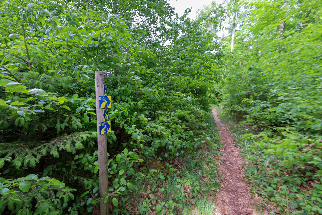 Beschilderung zur Burgruine Rumburg