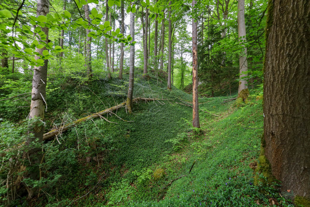 Burgstall Wieseck Altmühltal