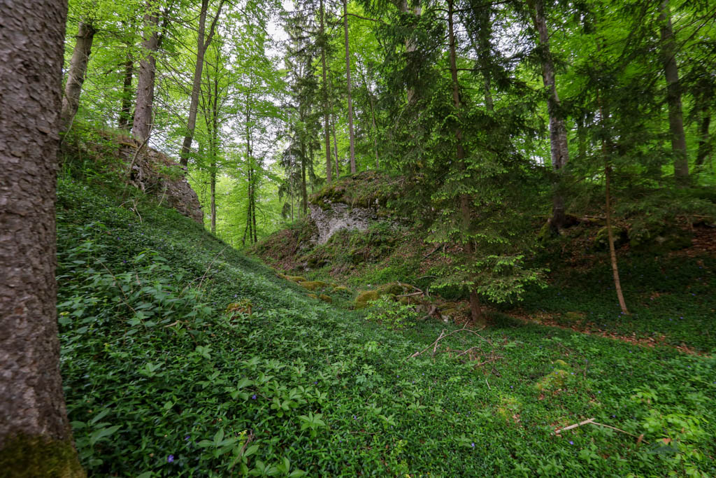 Burgstall Wieseck Altmühltal