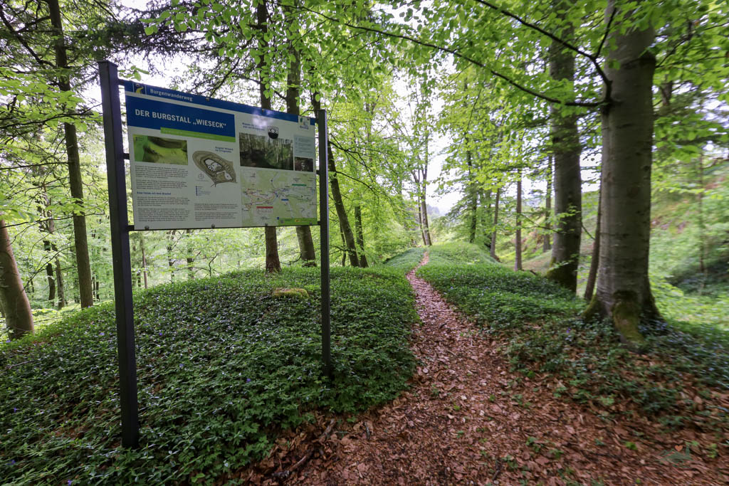 Infotafel Burgstall Wieseck 