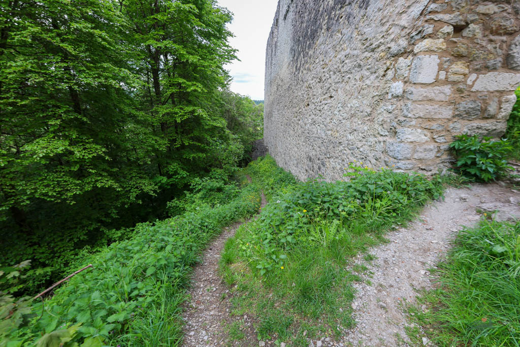 Pfad zur Burgruine Rumburg