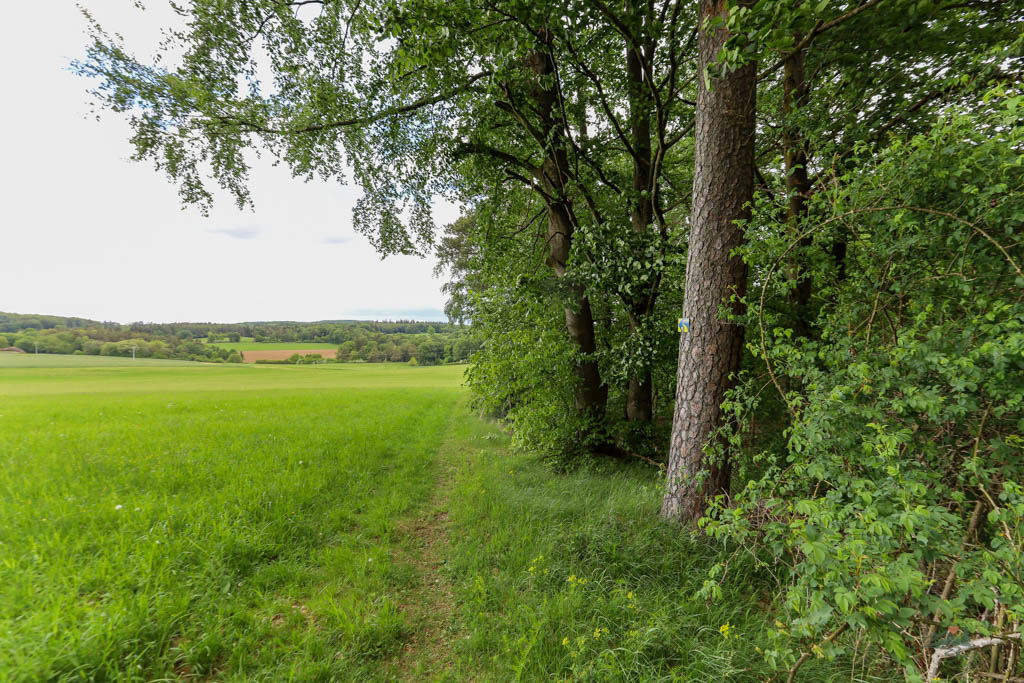 Weg zur Burgruine Rumburg