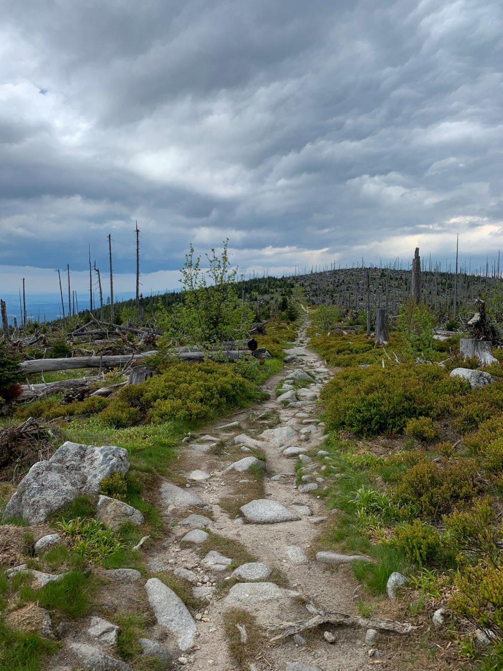 Über den Hochkamm und dem Bayerisch Plöckenstein zum Dreisesselberg