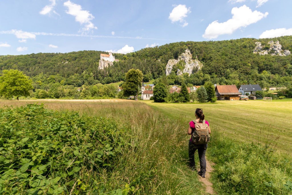 Aussicht auf Burg Prunn