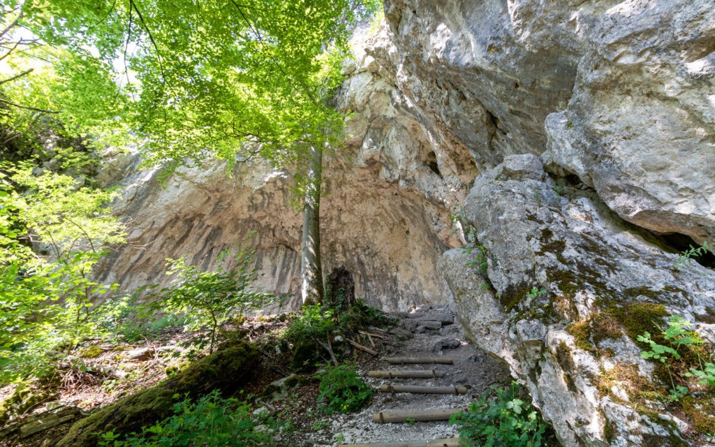 Felswand Friedrichsruh Altmühltal nach der Burg Prunn