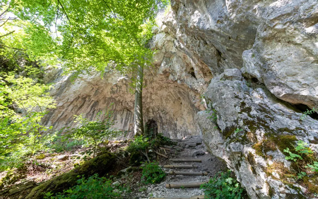 Felswand Friedrichsruh Altmühltal