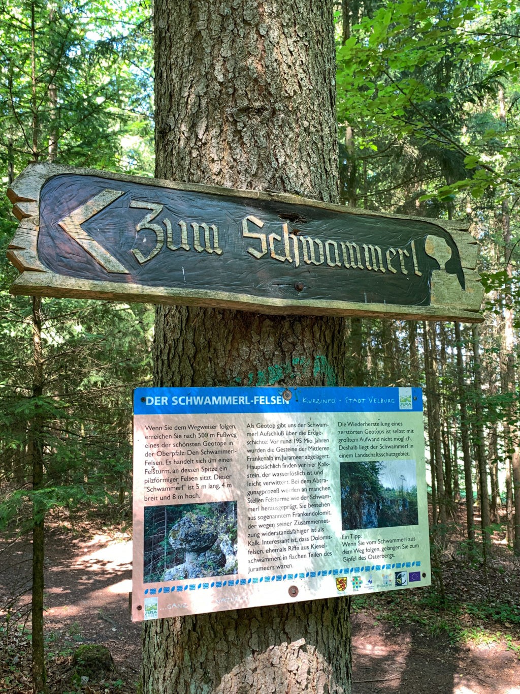 Wegweiser zum Schwammerl am Walderlebnispfad